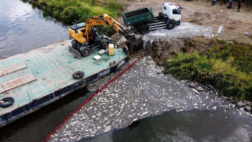 65925_43199077_43199034