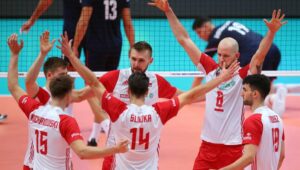 66527_43353260_43353258