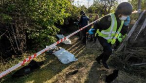 66688_43406055_43406033