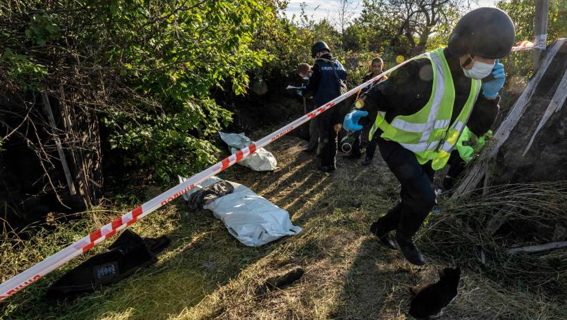 66688_43406055_43406033