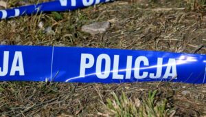 68502_43809806_43809759