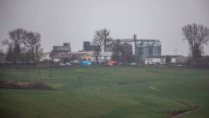 69017_43987421_43986208