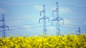 69373_44068270_42199846