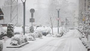 69748_44179376_44179369