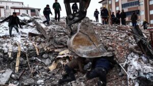 71495_44571732_44571725