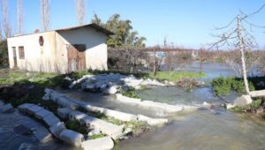 71558_44591458_44591441