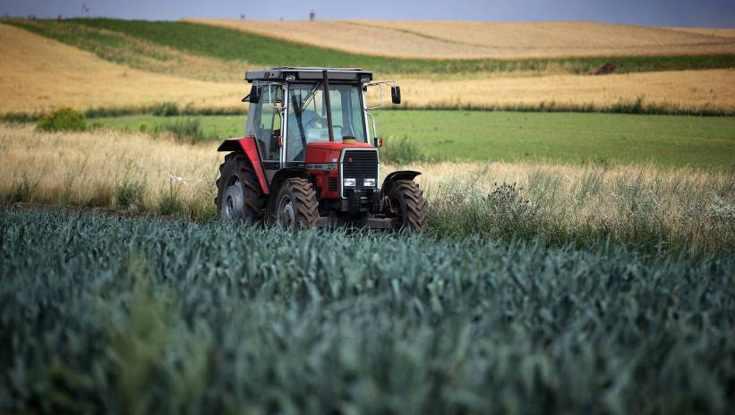 Fot. PAP/Łukasz Gągulski