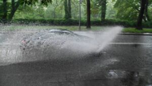 Fot. PAP/MARCIN BIELECKI