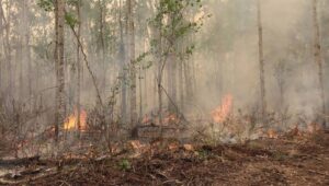 Fot. PAP/EPA/ALBERTA WILDFIRE HANDOUT