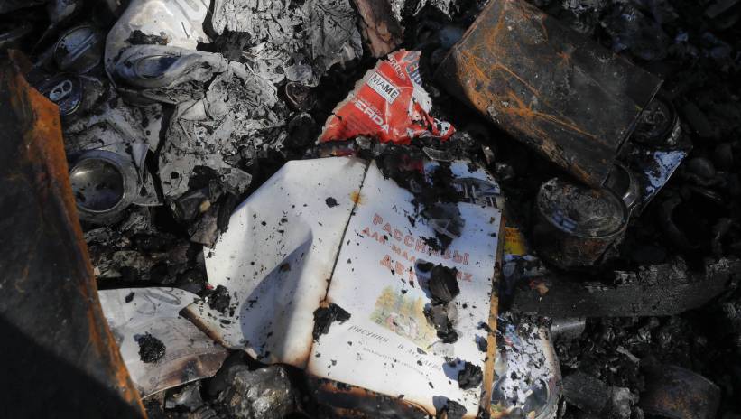 Fot. PAP/EPA/SERGEY DOLZHENKO