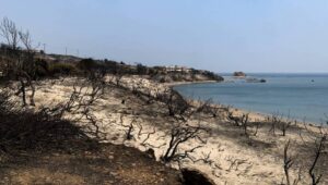 Fot. PAP/EPA/DAMIANIDIS LEFTERIS