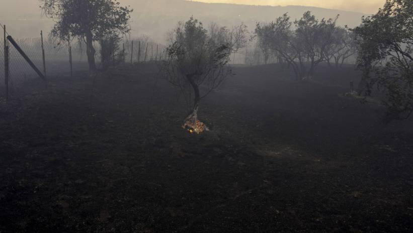 Fot. PAP/EPA/IKONOMOU VASSILIS