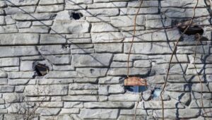 Fot. PAP/Alena Solomonova