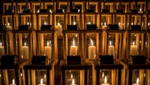 Fot. Bogusław Świerzowski / krakow.pl