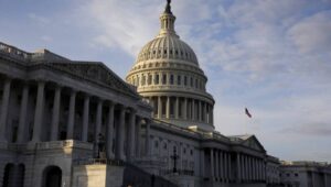 Fot. PAP/EPA/MICHAEL REYNOLDS