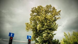 Fot. PAP/Wojciech Pacewicz