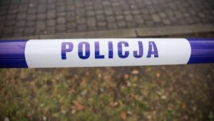 Fot. PAP/Albert Zawada