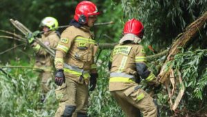 Nowy Targ, 16.07.2024. Usuwanie skutków dzisiejszej nawałnicy w Nowym Targu, 16 bm. Burza trwała krótko ale deszcz był obfity a wiatr bardzo silny i porywisty. Fot. PAP/Grzegorz Momot