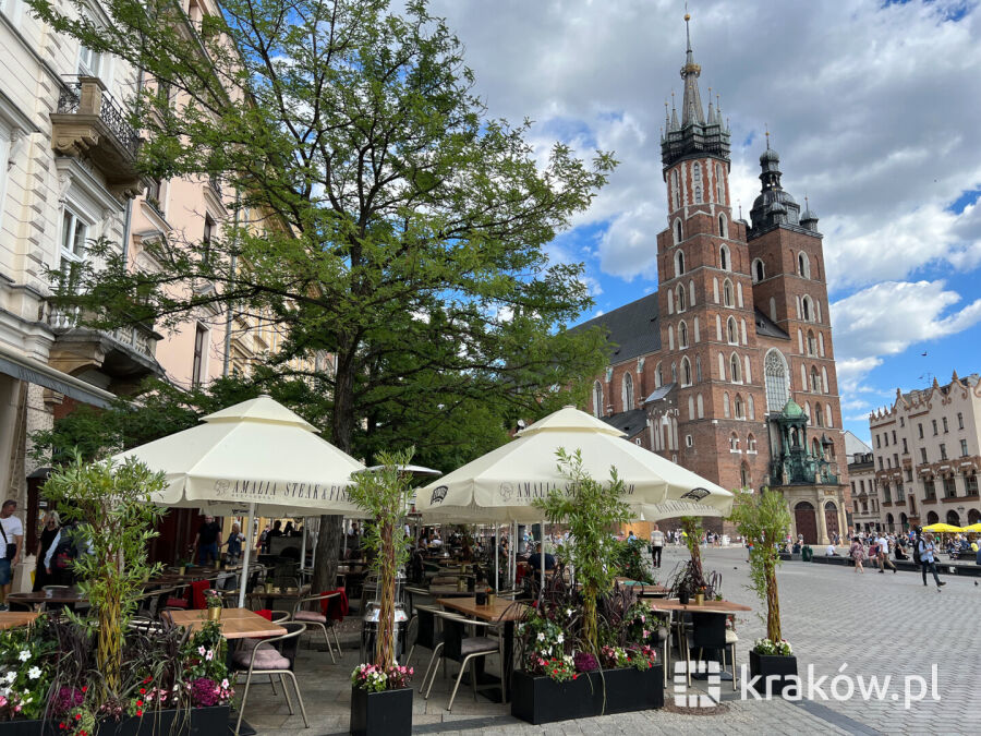 Fot. Bogusław Świerzowski / www.krakow.pl