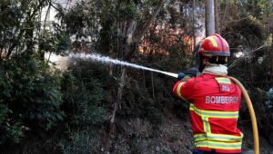 A firefighter tries to extinguish a fire in Madeira Island, Portugal, 18 August 2024. The fire, which started on 14 August in the municipality of Ribeira Brava and spread the following day to the neighboring municipality of Camara de Lobos, is now active on three fronts and is being fought by 120 operationa. Fot. PAP/EPA/HOMEM DE GOUVEIA