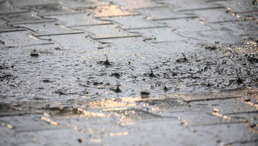 Fot. PAP/Leszek Szymański
Warszawa, 03.07.2020. Intensywne opady deszczu, 3 bm. w Warszawie. W piątek, 3 bm. Instytut Meteorologii i Gospodarki Wodnej wydał ostrzeżenie pierwszego i drugiego stopnia przed burzami z gradem dla sześciu województw. Alerty pierwszego stopnia dotyczą woj. podkarpackiego oraz części woj. mazowieckiego, świętokrzyskiego, małopolskiego oraz podlaskiego. (olm) PAP/Leszek Szymański