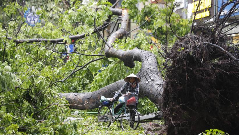 A woman walks her bicycle past a fallen tree that was blown over by typhoon Yagi in Hanoi, Vietnam, 08 September 2024. Typhoon Yagi, Asia's most powerful storm so far this year, made landfall in northern Vietnam on 07 September, killing four people and injuring 78 others, according to state media. Fot. PAP/EPA/LUONG THAI LINH