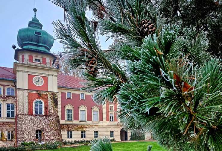 Fot. Archiwum Muzeum-Zamku w Łańcucie