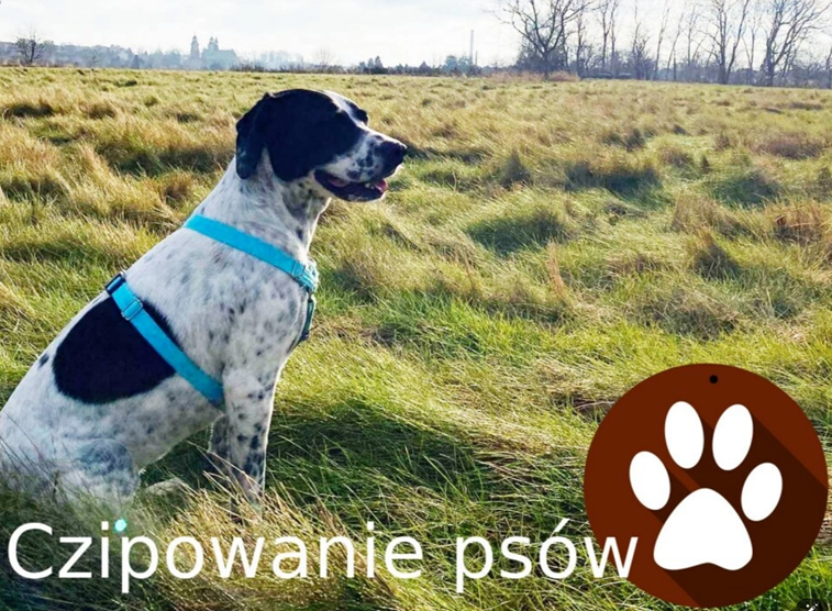 UM Jarosław