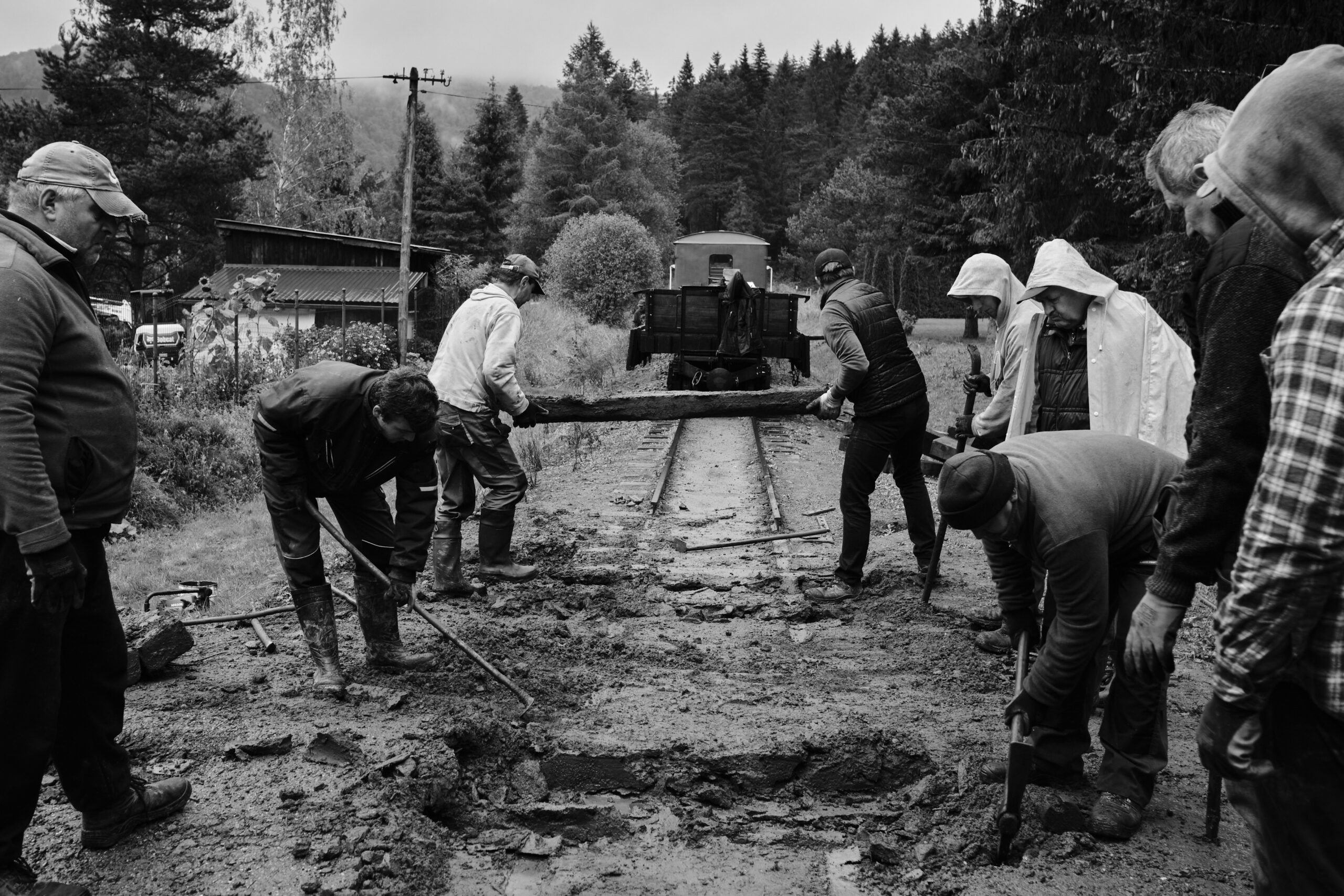 Autor zdjęć: Sebastian Stankiewicz /
Biuro Prasowe UMWP