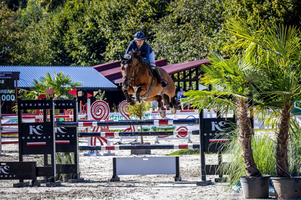 Biuro Prasowe UMWP / Zdjęcia: Qołcz Photography