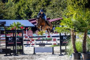 Biuro Prasowe UMWP / Zdjęcia: Qołcz Photography