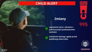 Grafika - Źródło: Komenda Główna Policji