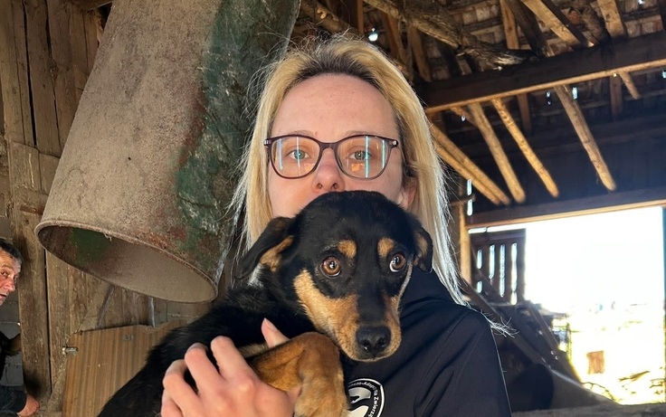 Humane World for Aminals