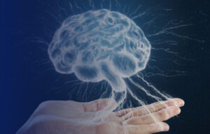 Grafika - Źródło: Ministerstwo Nauki i Szkolnictwa Wyższego