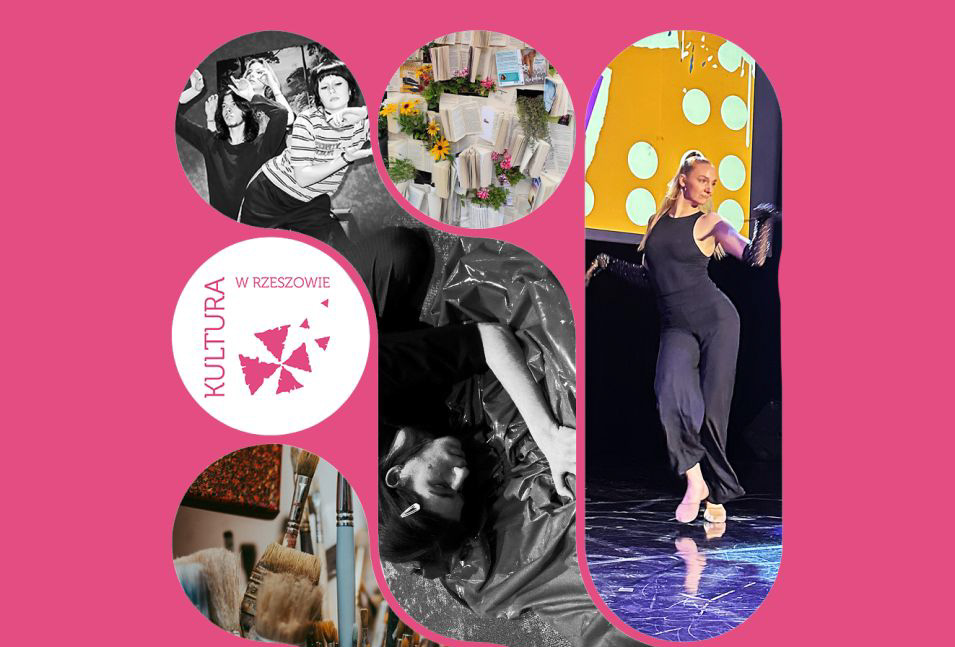 Grafika Organizatora