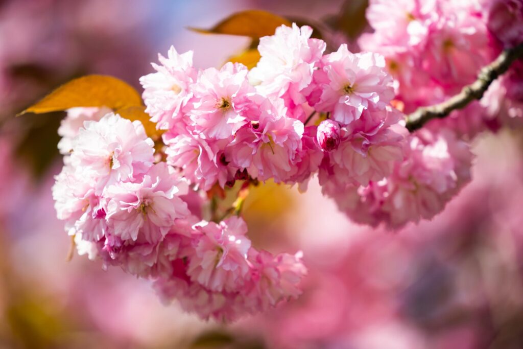 Foto: Komisja Europejska