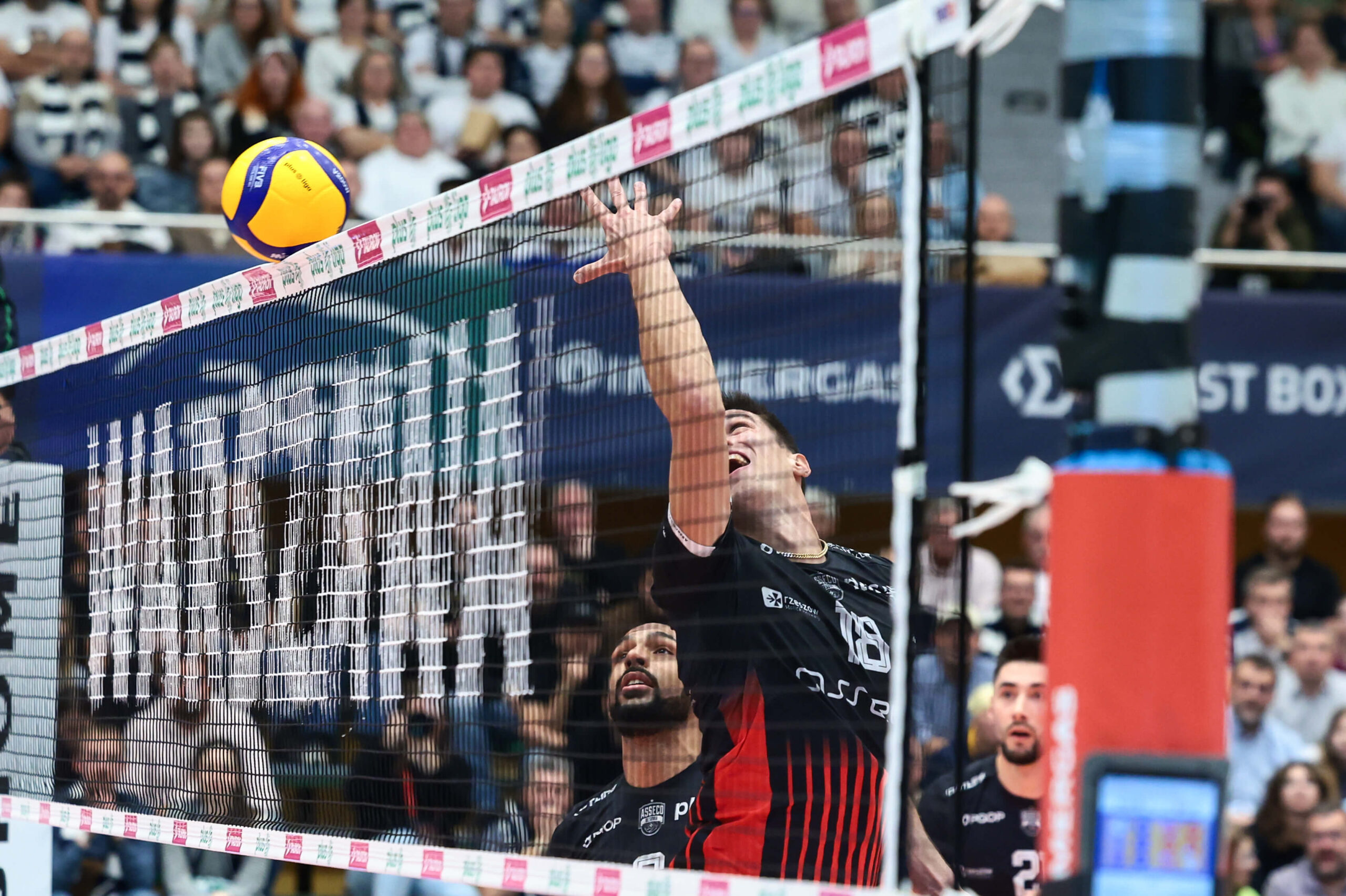 foto: PressFocus / Źródło: Oficjalna strona
Asseco Resovia Rzeszów