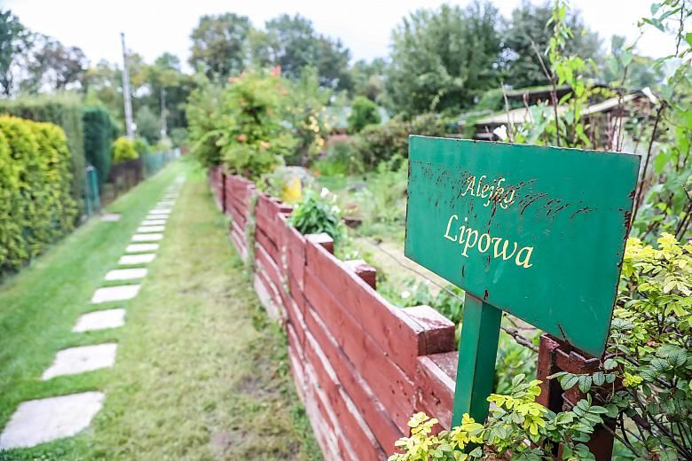 Fot. Bogusław Świerzowski / krakow.pl
