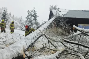 Foto - Źródło: Serwis informacyjny PUW