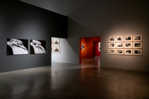 DOX_David Lynch_Up in Flames_Wgląd w wystawę_zdjęcie: Jan Slavík_©DOX