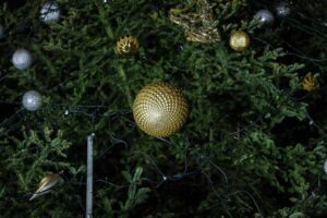 Fot. Bogusław Świerzowski / Źródło: Krakow.pl