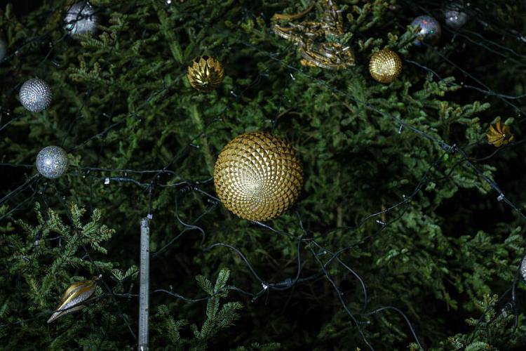 Fot. Bogusław Świerzowski / Źródło: Krakow.pl