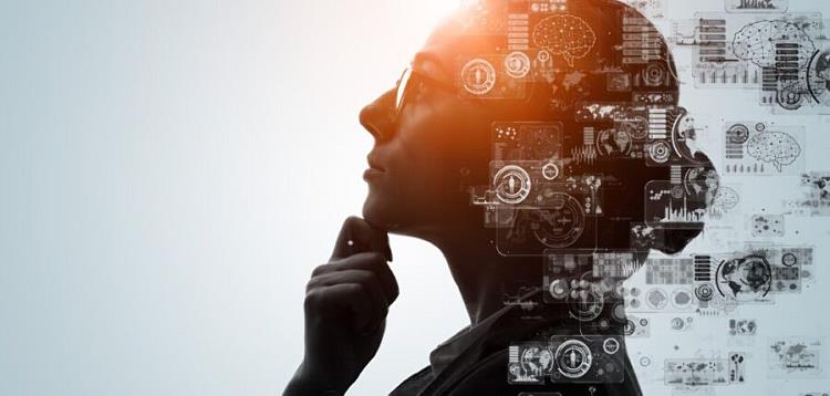 Fot. soroptimist.krakow.pl / Źródło: Krakow.pl