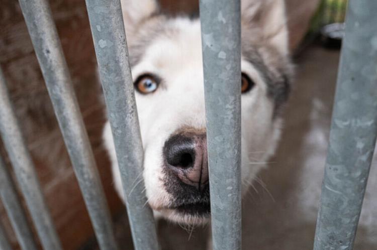 Fot. archiwum CKP / Źródło: Krakow.pl