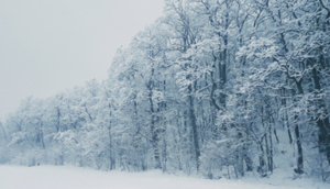 Rządowe Centrum Bezpieczeństwa