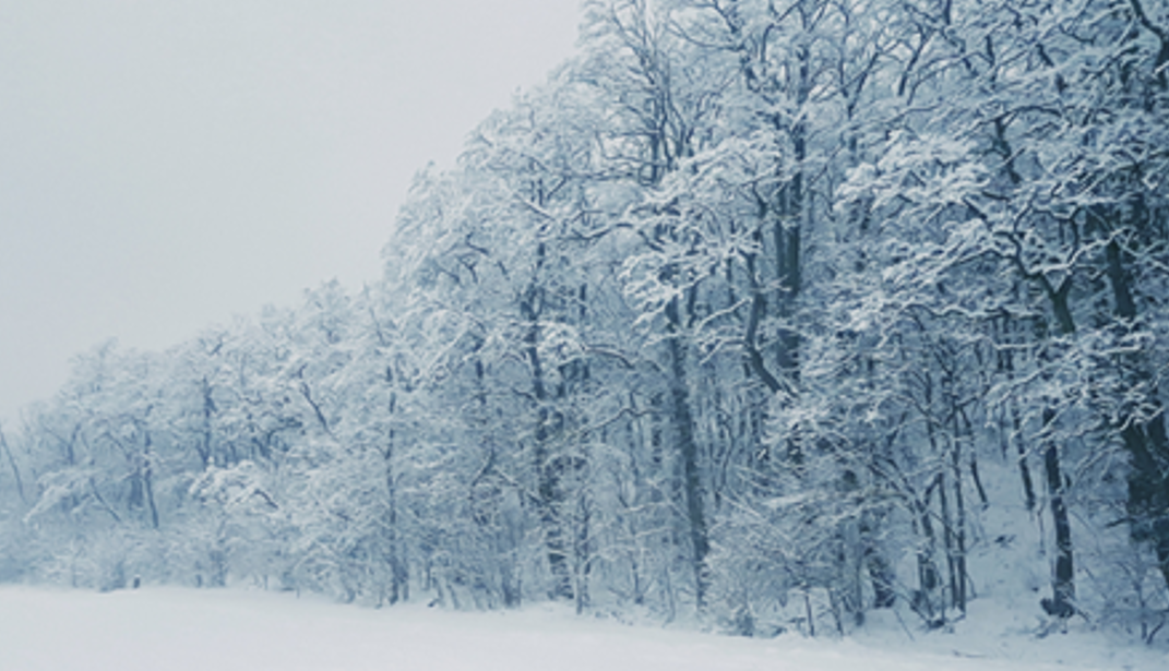 Rządowe Centrum Bezpieczeństwa