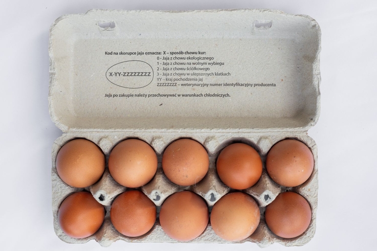 Stowarzyszenie Otwarte Klatki