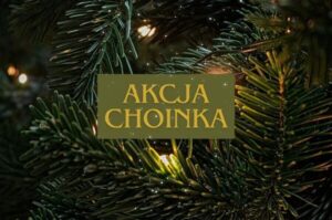 Fot. Zarząd Zieleni Miejskiej w Krakowie / Źródło: Krakow.pl