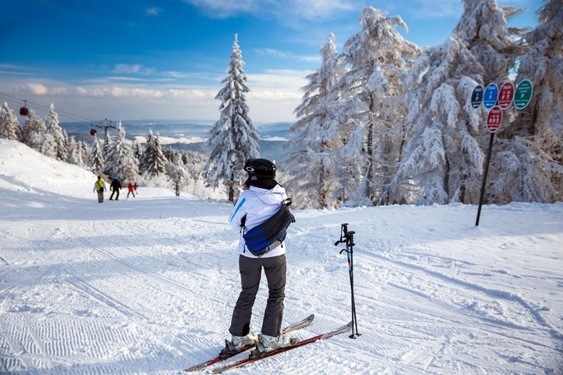 Foto - Źródło: Departament Turystyki UMWM / malopolaska.pl