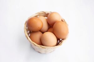 Stowarzyszenie Otwarte Klatki